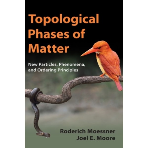 Topological Phases of Matter (inbunden, eng)