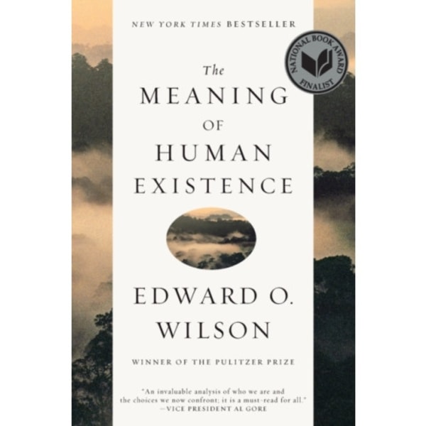 The Meaning of Human Existence (häftad, eng)