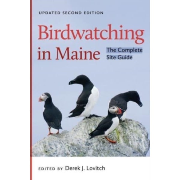 Birdwatching in Maine (häftad, eng)