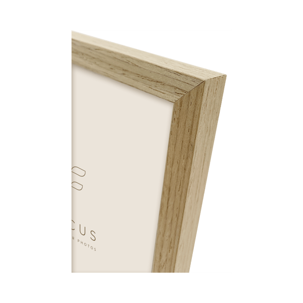 Focus Willow Oak 40X40