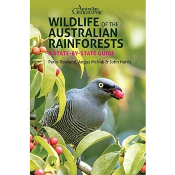 Wildlife of the Australian Rainforests (häftad, eng)