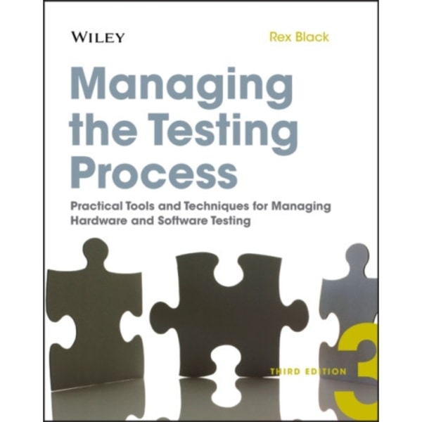 Managing the Testing Process (häftad, eng)