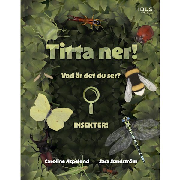 Titta ner! (inbunden)