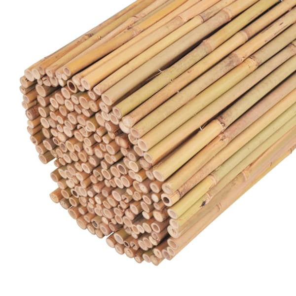 Staket bambu 300x100 cm