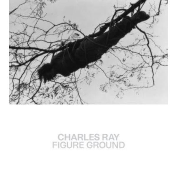 Charles Ray (häftad, eng)