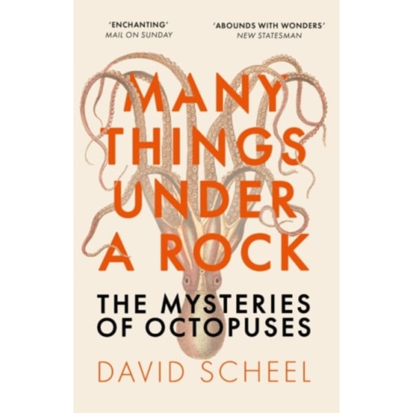 Many Things Under a Rock (häftad, eng)