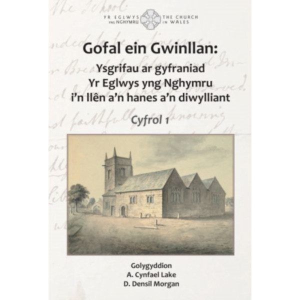 Gofal ein Gwinllan (häftad, wel)
