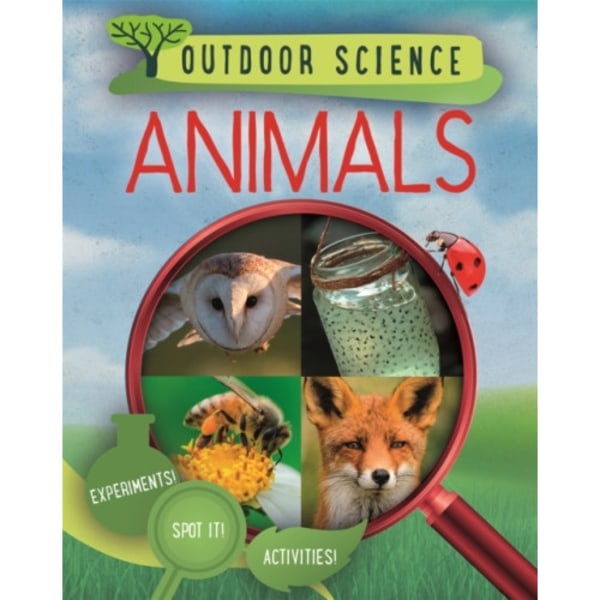 Outdoor Science: Animals (häftad, eng)