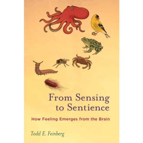 From Sensing to Sentience (häftad, eng)