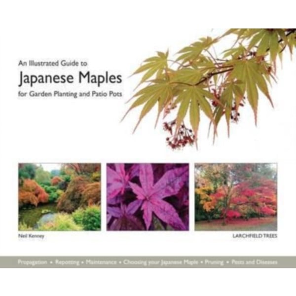 An Illustrated Guide to Japanese Maples for Garden Planting and Patio Pots (häftad, eng)