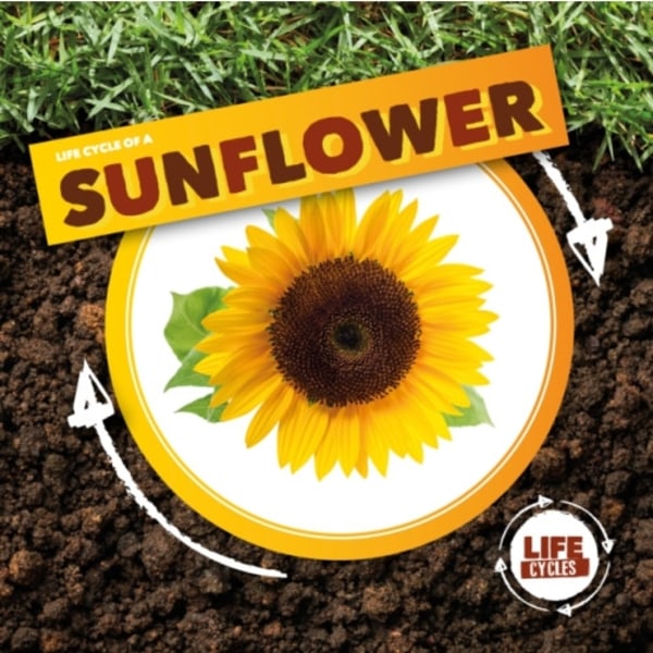 Life Cycle of a Sunflower (inbunden, eng)