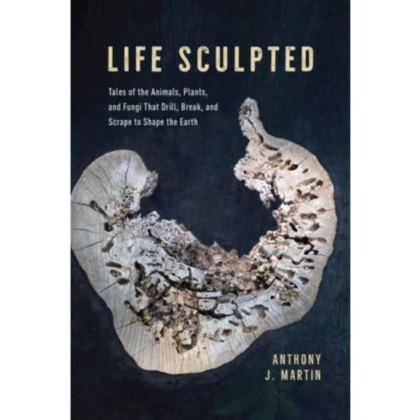 Life Sculpted (inbunden, eng)