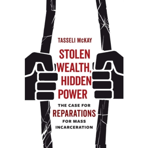 Stolen Wealth, Hidden Power (häftad, eng)
