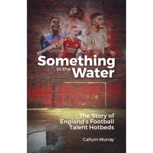 Something in the Water (inbunden, eng)