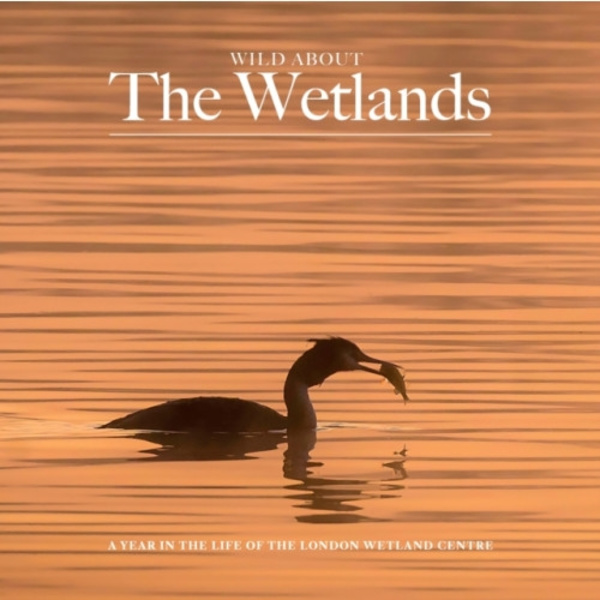 Wild about The Wetlands (inbunden, eng)