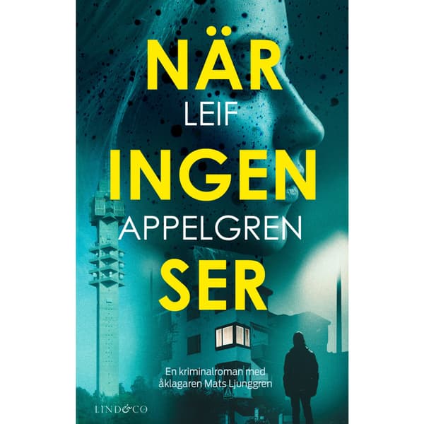 När ingen ser (inbunden)