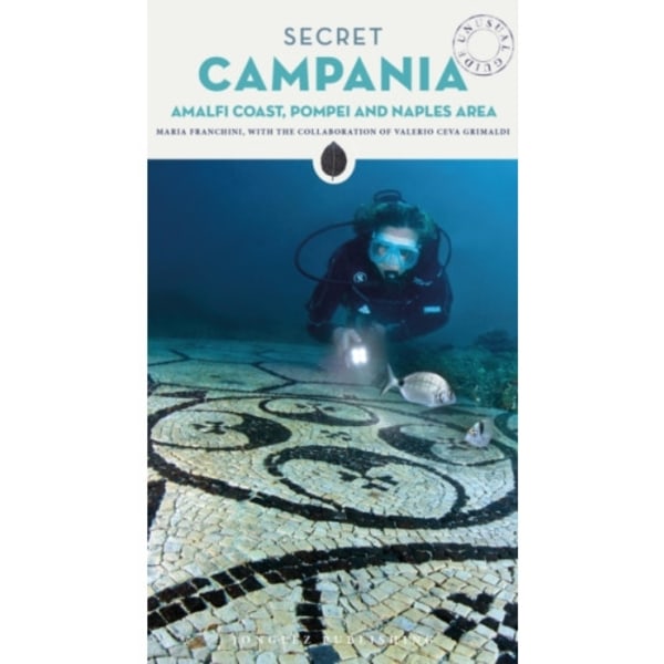 Secret Campania Guide (häftad, eng)