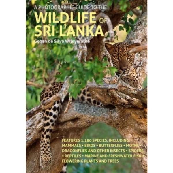 A Photographic Guide to the Wildlife of Sri Lanka (häftad, eng)