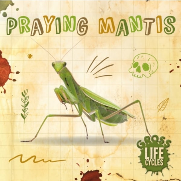 Praying Mantis (inbunden, eng)