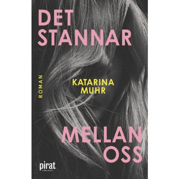 Det stannar mellan oss (inbunden)