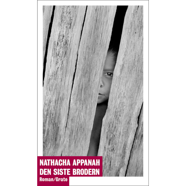 Den siste brodern (häftad)