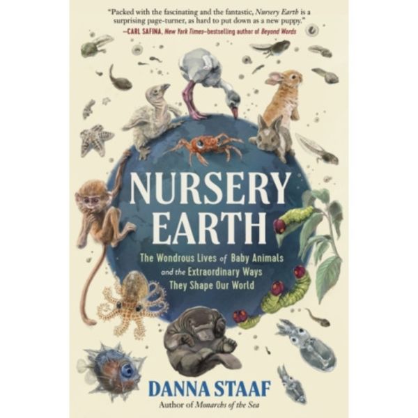 Nursery Earth (inbunden, eng)