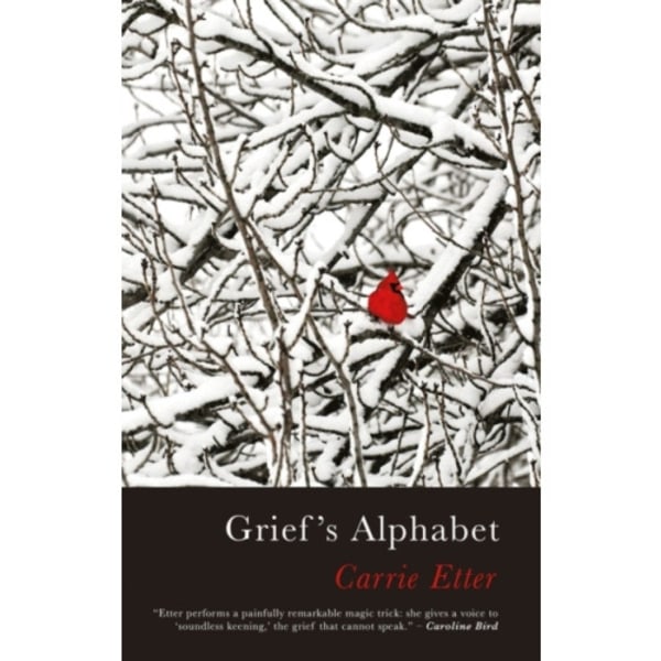 Grief's Alphabet (häftad, eng)