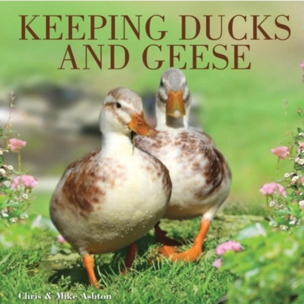 Keeping Ducks and Geese (häftad, eng)