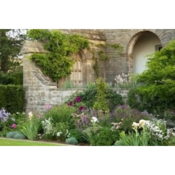Mounton House (inbunden, eng)