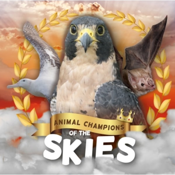 Skies (inbunden, eng)