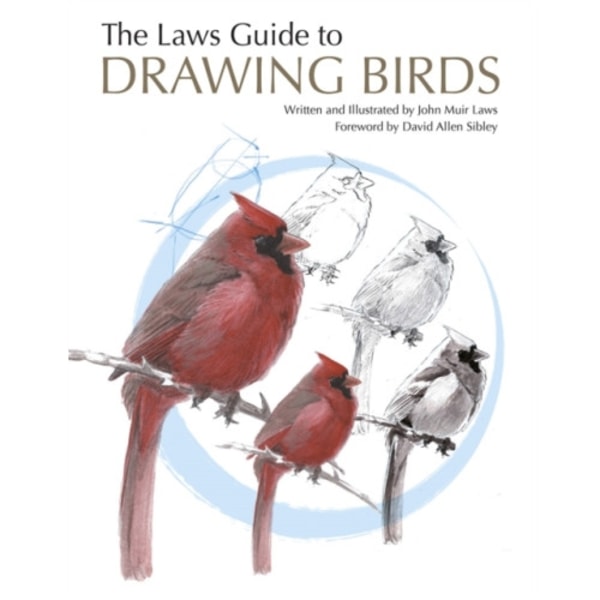 The Laws Guide to Drawing Birds (häftad, eng)