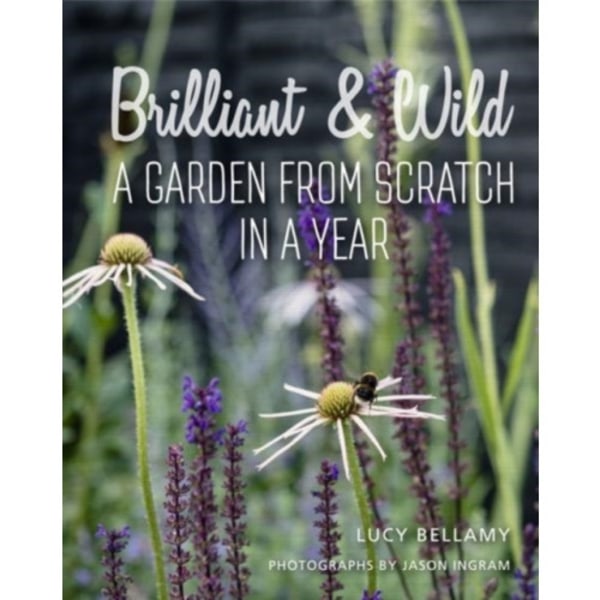 Brilliant and Wild (inbunden, eng)