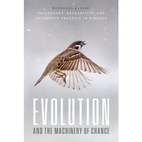 Evolution and the Machinery of Chance (häftad, eng)