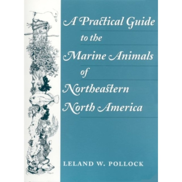 A Practical Guide to the Marine Animals of Northeastern North America (häftad, eng)