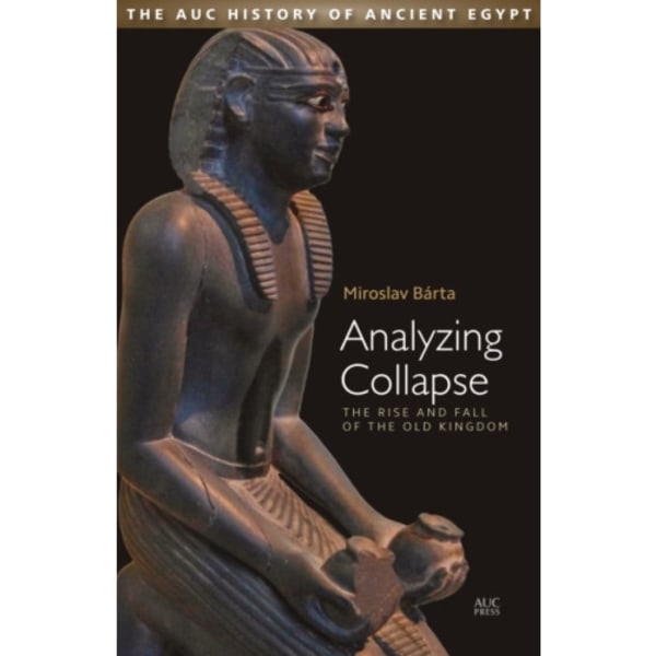 Analyzing Collapse (inbunden, eng)
