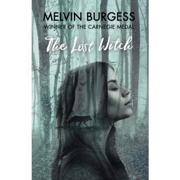 The Lost Witch (inbunden, eng)