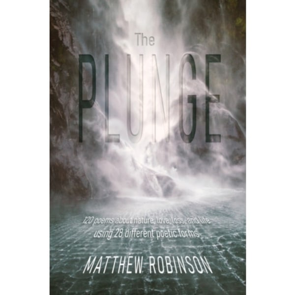 The Plunge (häftad, eng)