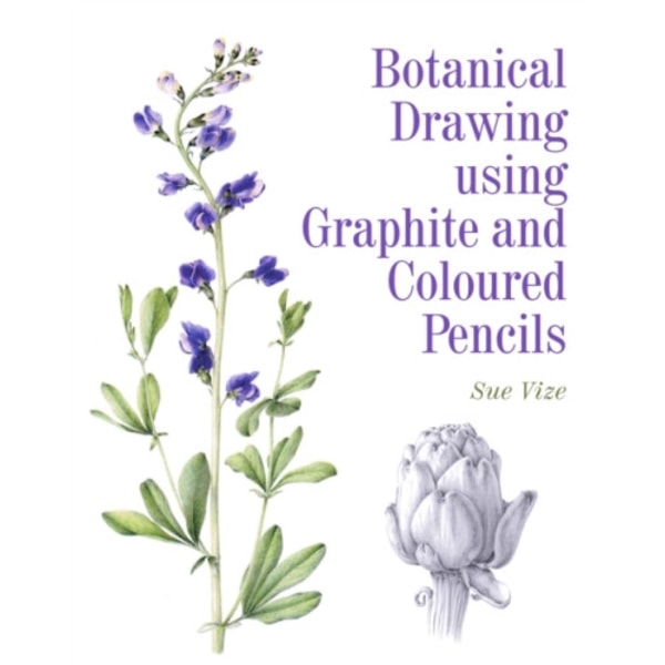 Botanical Drawing using Graphite and Coloured Pencils (häftad, eng)