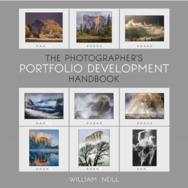 The Photographer's Portfolio Development Workshop (häftad, eng)