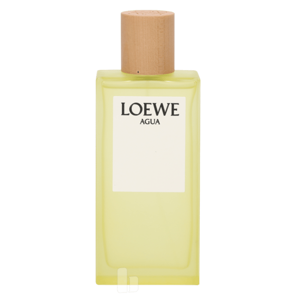 Loewe Agua Edt Spray 100 ml Dam
