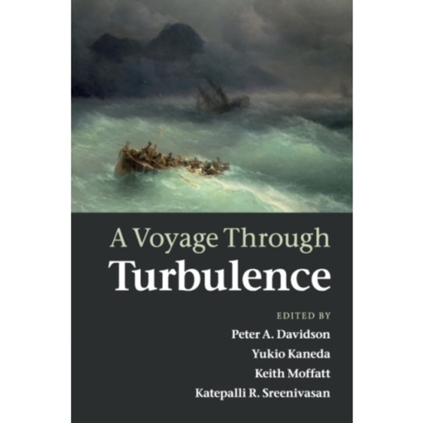 A Voyage Through Turbulence (häftad, eng)