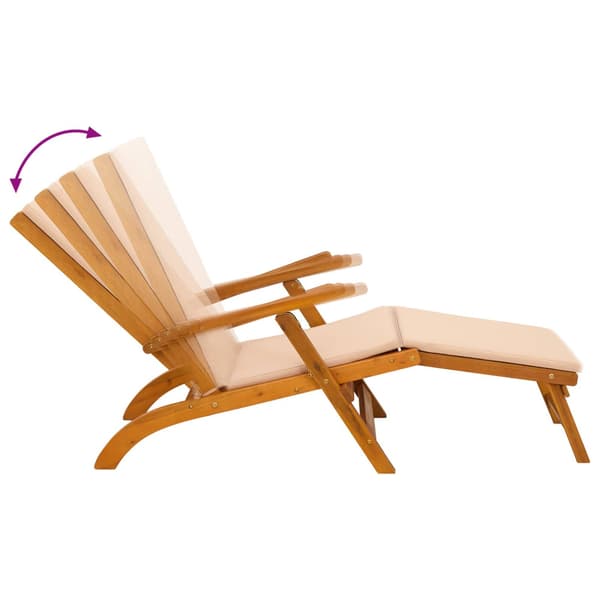 Reclining och Fällbar Solstol 55 x 146 x 91 cm