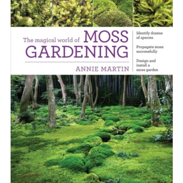 The Magical World of Moss Gardening (häftad, eng)