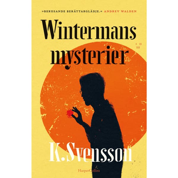Wintermans mysterier (inbunden)