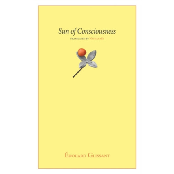 Sun of Consciousness (häftad, eng)