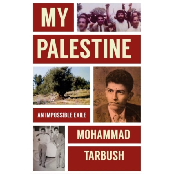 My Palestine (inbunden, eng)