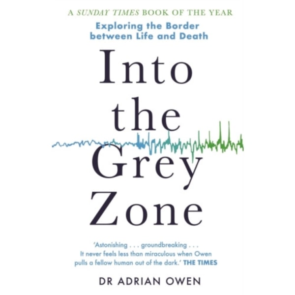 Into the Grey Zone (häftad, eng)