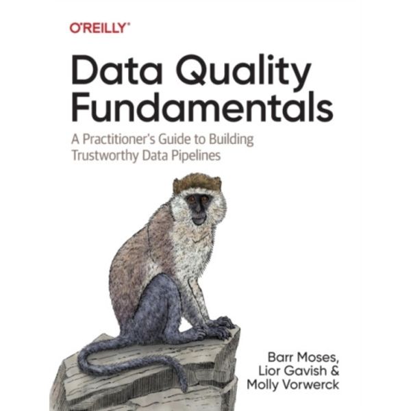 Data Quality Fundamentals (häftad, eng)