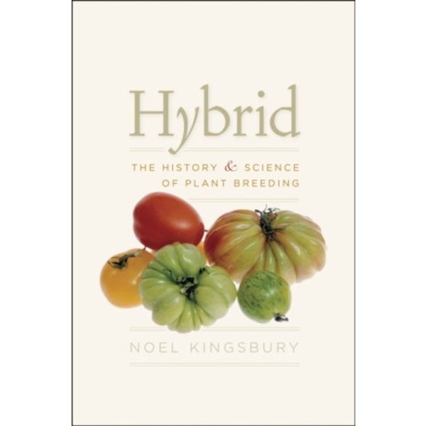 Hybrid (häftad, eng)