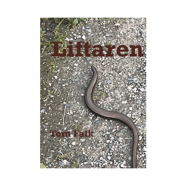 Liftaren (häftad)